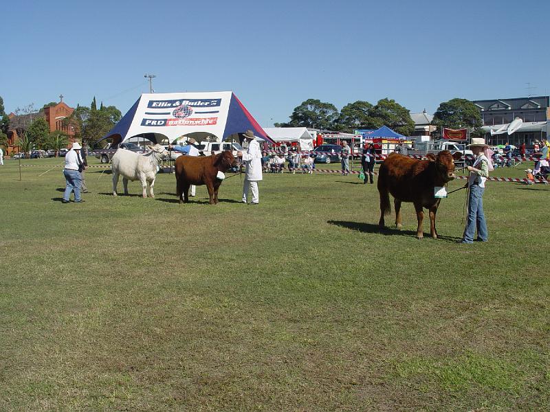 beef-week 060.jpg